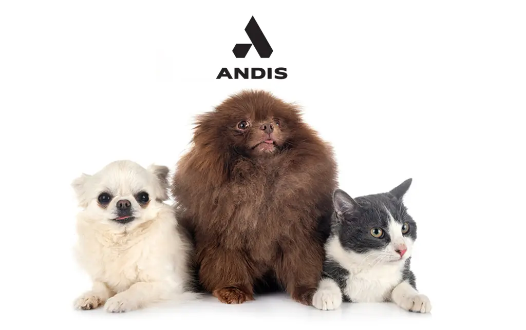 ANDIS